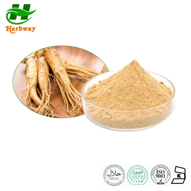 Herbway Natural Raw Material Free Sample Ginsenosides Powder Korean Red Ginseng Extract Powder American Ginseng Root Extract