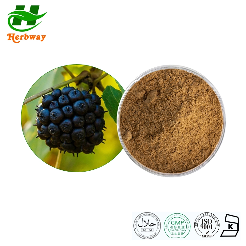 Herbway Factory Directly Sale 0.8%-2%Eleutherosides B + E Siberian Ginseng Root Extract