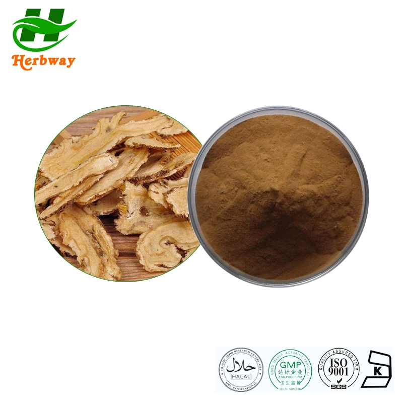 Herbway Plant Extract Factory Directly Sale Angelica Sinensis Extract Immune Enhancement Angelica Extract