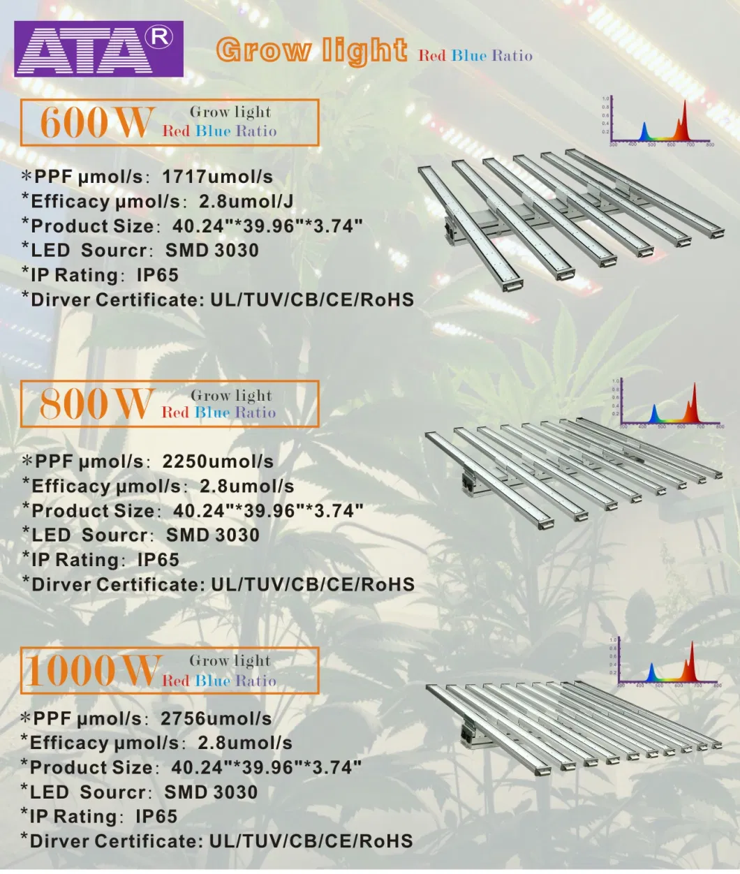 50W/75W/80W/100W/150W/300W/400W/450W/500W/600W/650W/700W/800W/900W/1000W/1200W/1500W Veg/Flowering Switches Full Spectrum COB/SMD LED Grow Lights