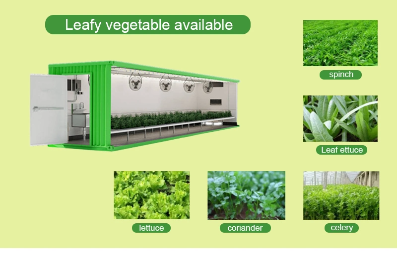 9600*720*2500mm Smart Water and Fertilizer Irrigation System Greenhouses Farm Container Veg Flower Grow Organic