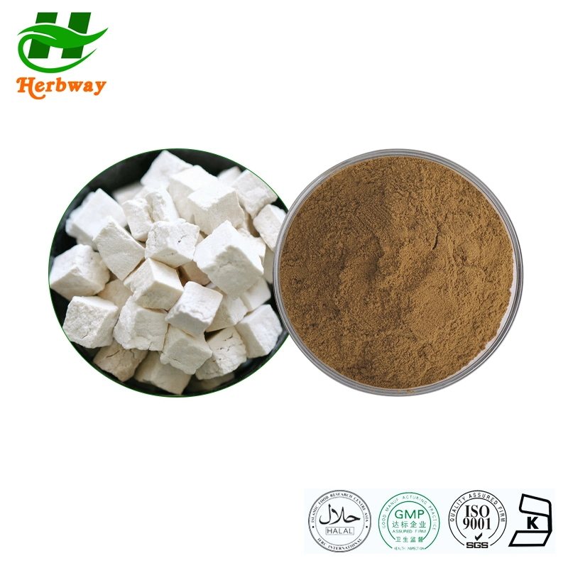 Herbway Fuling Mushroom Extract Poria Cocos Extract Poria Cocos Root Extract Poria Extract