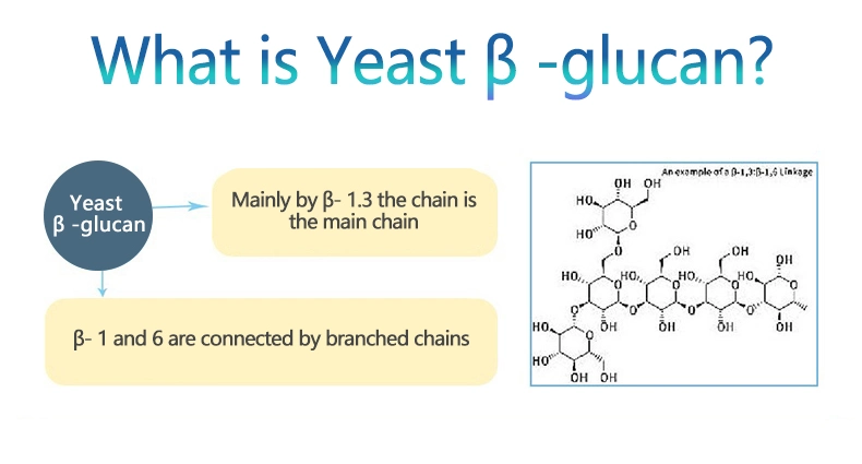 Yeast Extract 1 3 1 6 Beta Glucan 70% Yeast Beta Glucan